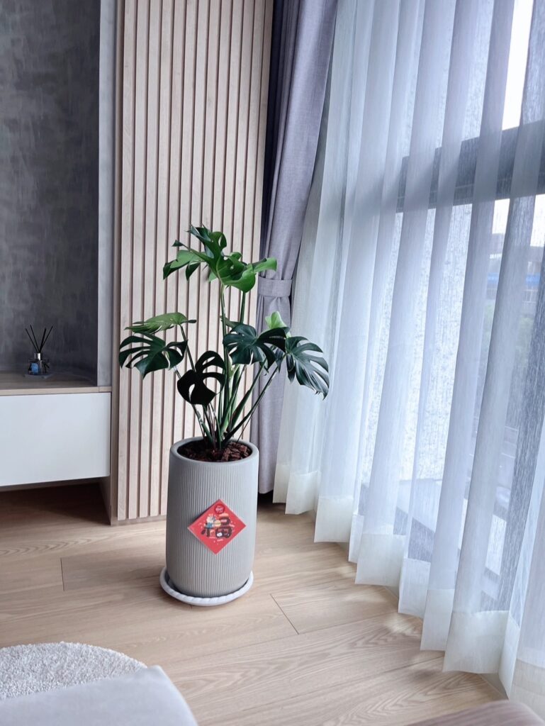 木地板案例-客廳窗邊展示