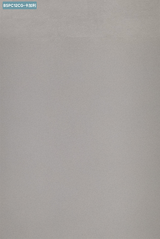 BSPC12CG 卡加利