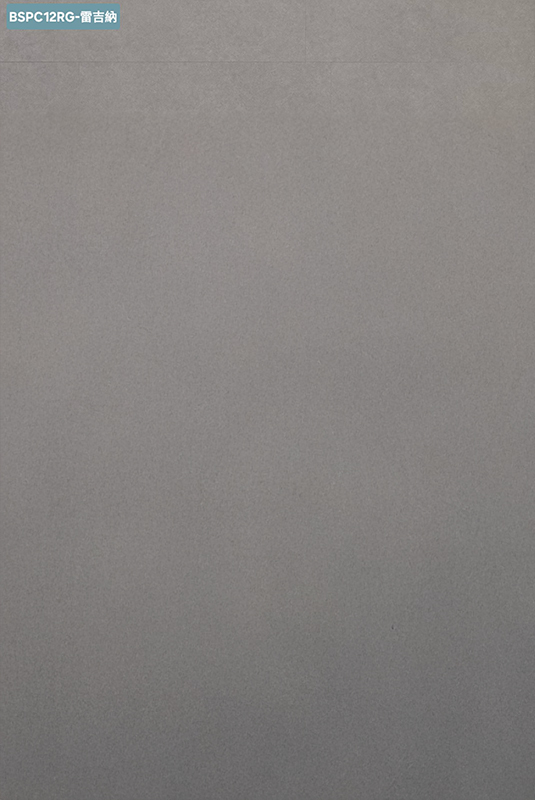 BSPC12RG 雷吉納
