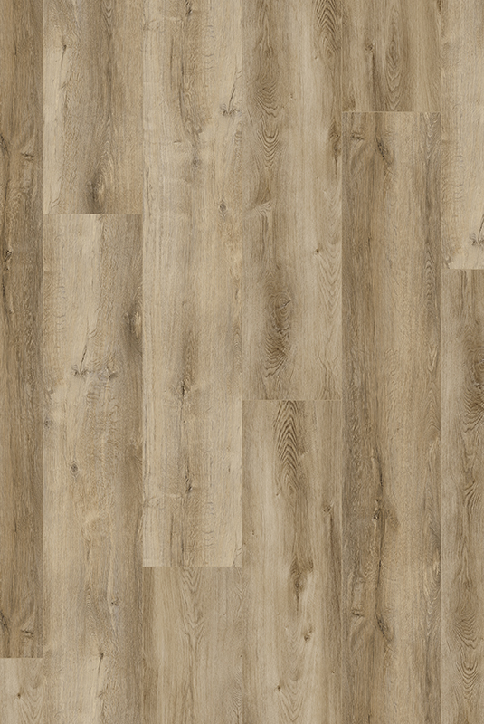 CCT-ACK 奧斯汀溪