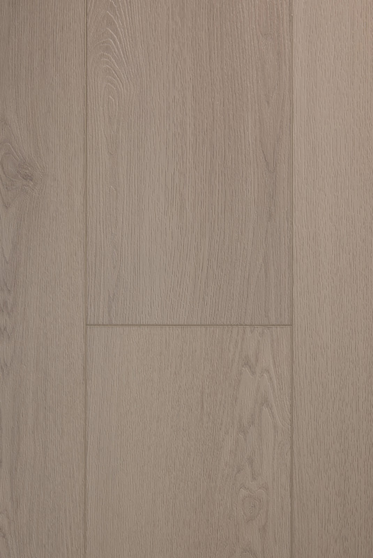 VSPC9CT 查爾斯頓