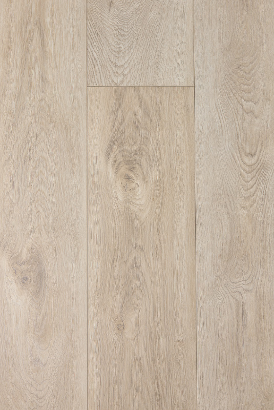 WRLLG 加斯帕里拉