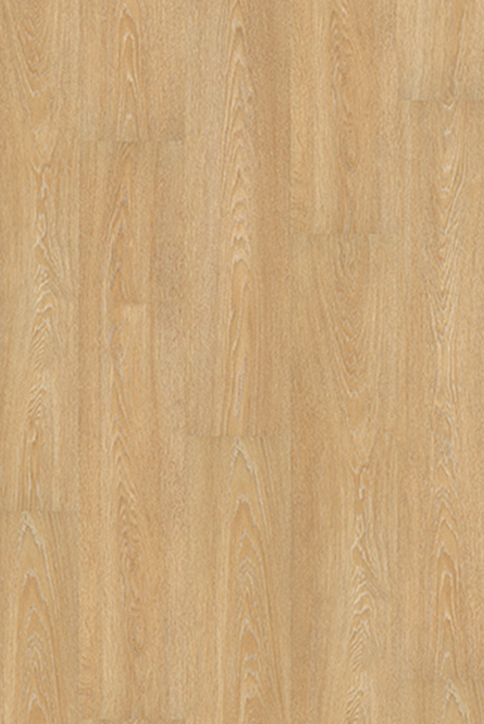 41048172 多洛米蒂