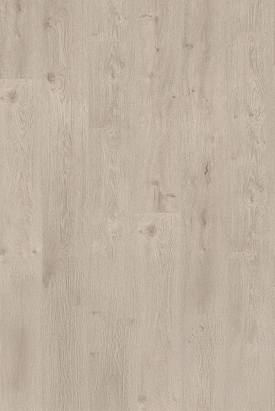 40819608 別姬橡木