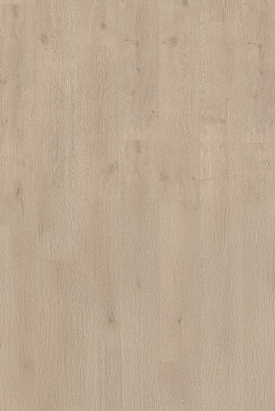 40819611 咖啡橡木