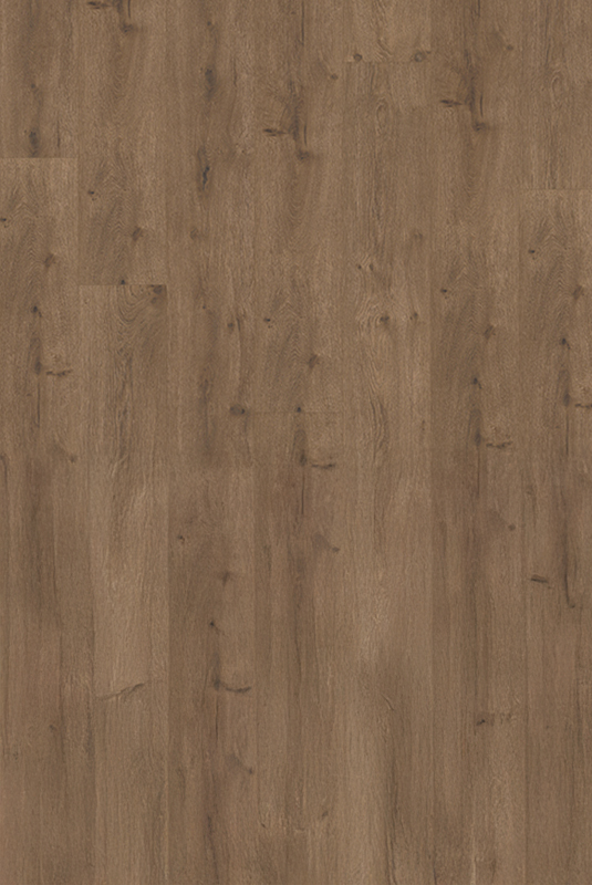 40819611 咖啡橡木