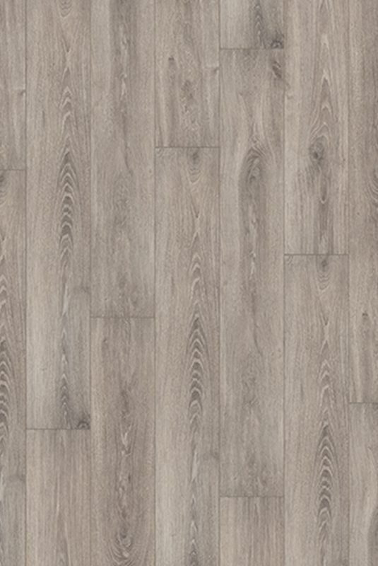 41103855 萊佛橡木