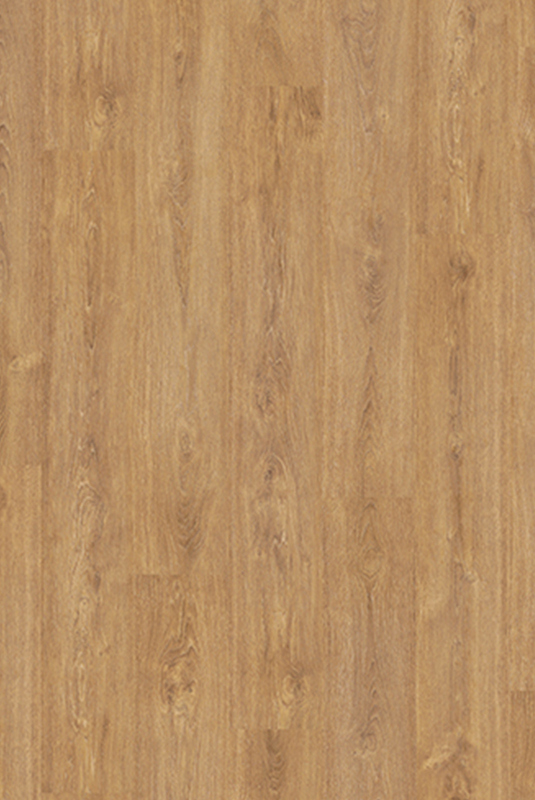 41103854 卡塔哥橡木