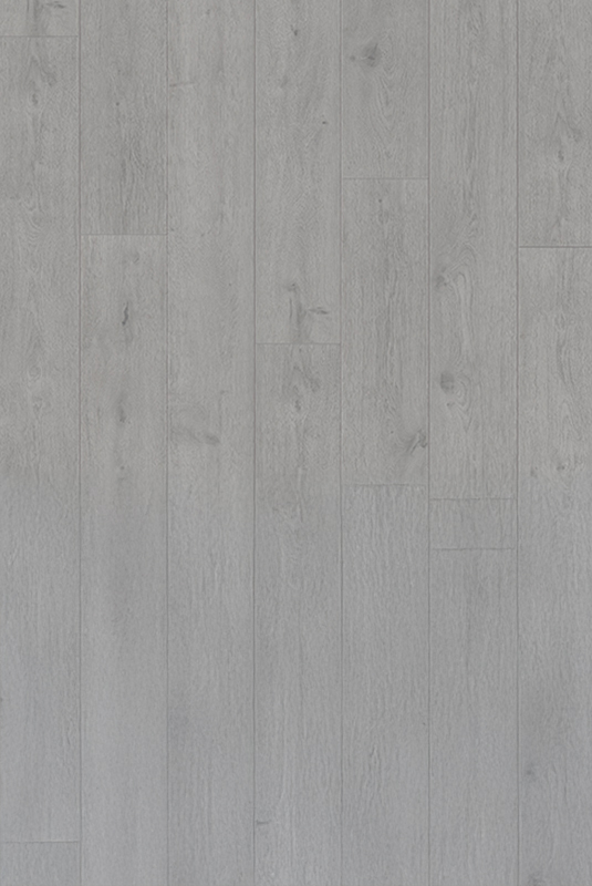 41040153 羅波灰橡