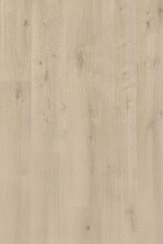 41050546 克拉橡木