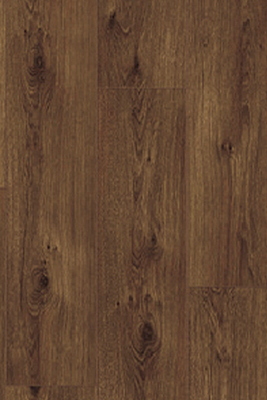 411塔司馬尼亞橡木