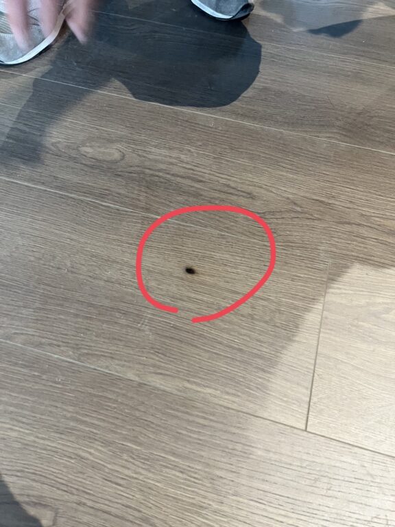 木地板損壞之一案例[尖銳物品弄傷木地板]