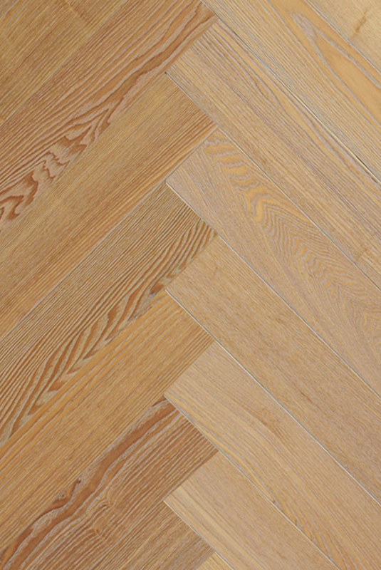 YS-AS-02 正直-歐洲白腊-貝里尼